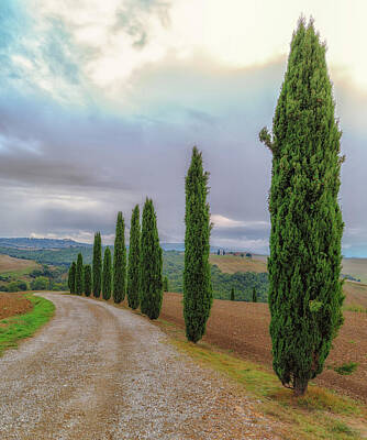 Studio Graphika Literature Royalty Free Images - Tuscan Country Road Royalty-Free Image by Lev Kaytsner