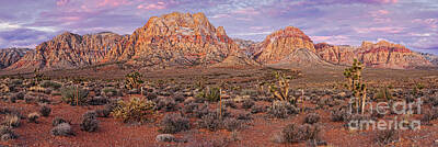 Science Collection - Twilight Panorama of Red Rock Canyon and Joshua Trees - Mojave Desert Las Vegas Nevada by Silvio Ligutti