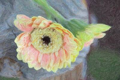 Modern Sophistication Beaches And Waves - Two Peach Gerbera 3 by Cathy Lindsey