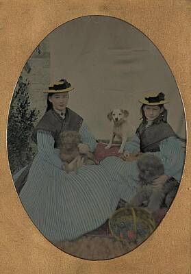 Interior Designers Rights Managed Images - Unidentified Two girls and three dogs ca. 1870 Royalty-Free Image by Celestial Images