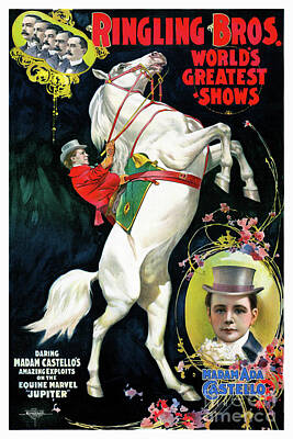 Mammals Drawings - USA Circus Vintage Advertising Poster Restored by Vintage Treasure