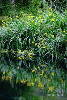 Impressionism Photos - Vertical Flower Reflections On Water River Shore Impressionist Garden Pond Grass by Luca Lorenzelli