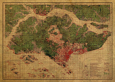 Woodland Animals - Vintage Map of Singapore 1930 by Design Turnpike
