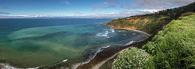 Christmas Images - Vivid Bluff Cove in Spring Panorama by Andy Konieczny