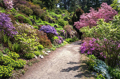 Michael Jackson Royalty Free Images - Walk in Spring Eden. Colorful Path 2 Royalty-Free Image by Jenny Rainbow