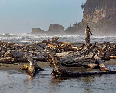 Back To School For Guys - Washington Coast 32 by Mike Penney