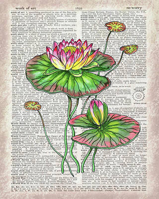 Lilies Royalty-Free and Rights-Managed Images - Water Lily Dictionary Page Watercolor Art by Irina Sztukowski