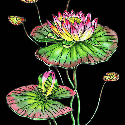 Lilies Royalty-Free and Rights-Managed Images - Watercolor Flower Waterlily by Irina Sztukowski