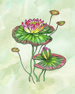 Lilies Royalty-Free and Rights-Managed Images - Watercolor Water Lily Botanical Flower by Irina Sztukowski