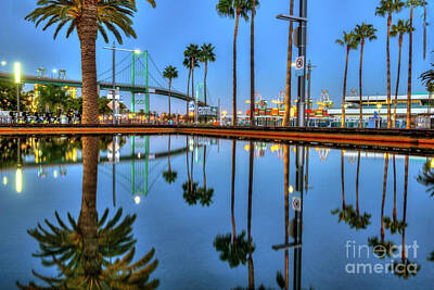 Hollywood Style - Waterfront Palm Trees Reflecting by David Zanzinger