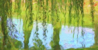 Global Design Shibori Inspired - Weeping Willow Pond Reflection 2 by Cathy Lindsey