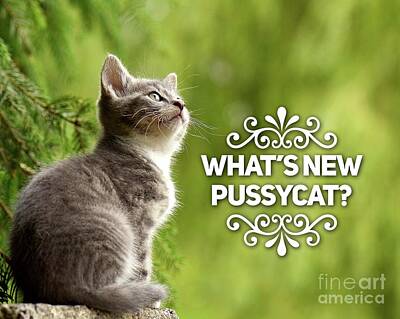 Music Digital Art - Whats New Pussycat by Esoterica Art Agency