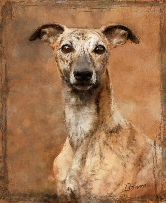 Typographic World - Whippet Dog Portrait by Donnaistic