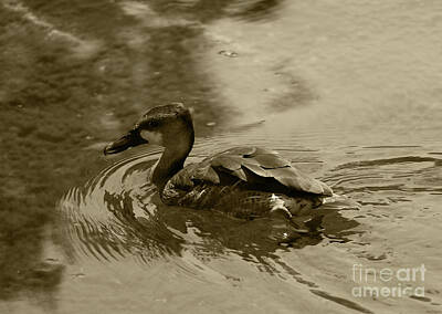 Abstract Cement Walls - Whistling Duck Valencia Tint by Eddie Barron