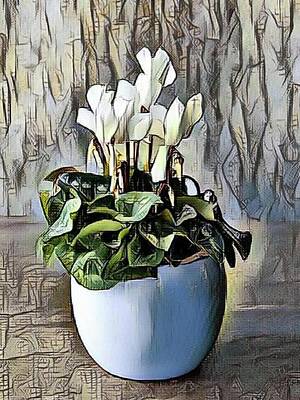 Portraits Paintings - White Cyclamen by Portraits By NC