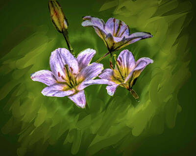Lilies Digital Art - White Lillies On Green #i4 by Leif Sohlman
