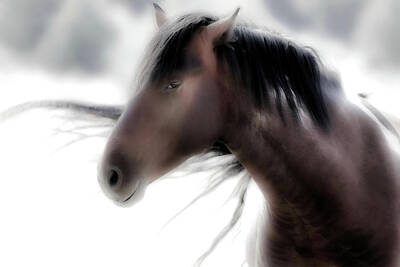 Queen Rights Managed Images - Wild Horse Hair Flip Royalty-Free Image by Athena Mckinzie