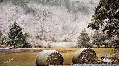 Fleetwood Mac - Winter Hay Bales by Aaron Shortt