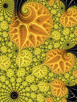Florals Digital Art - Yellow and orange floral Fractal by Matthias Hauser