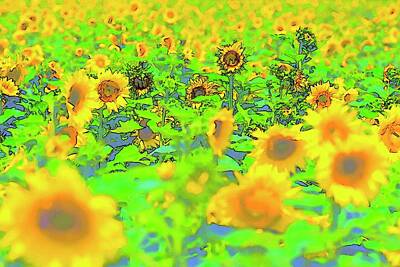 Jerry Sodorff Royalty-Free and Rights-Managed Images - Yellow Blue Green Sunflowers by Jerry Sodorff