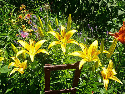 Gaugin - Yellow Lilies by Ellen Paull