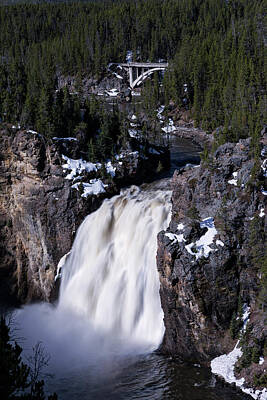 Mother And Child Animals - Yellowstone Upper Falls 2 by Rick Pisio