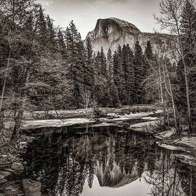 Rabbit Marcus The Great - Yosemite Half Dome Mountain Landscape Reflection - Sepia Square Format by Gregory Ballos