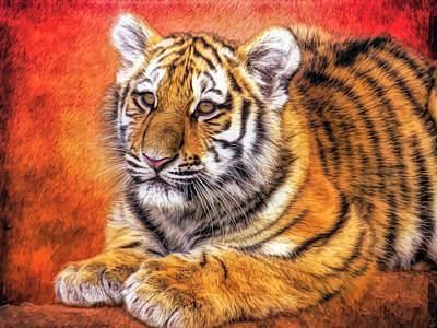 Mammals Mixed Media - Young Tiger by Judy Vincent
