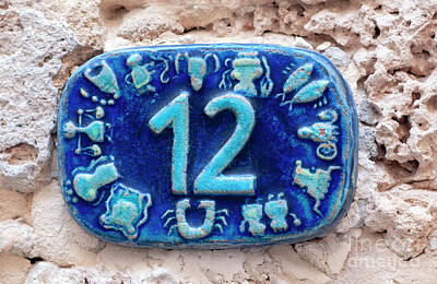 Beach House Shell Fish - zodiac signs the number Twelve c15 by Ilan Rosen