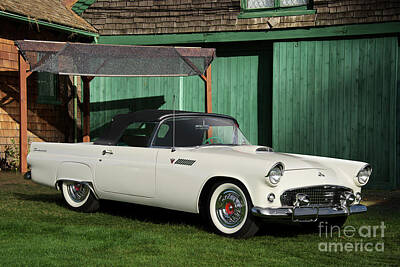 Easter Egg Stories For Children Royalty Free Images - 1955 Ford Thunderbird Convertible Royalty-Free Image by Dave Koontz