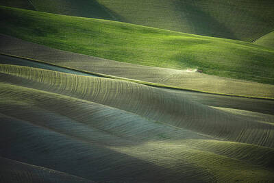 Abstract Landscape Photos - Abstract landscape in Tuscany by Stefano Orazzini