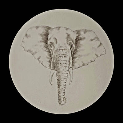 Animals Drawings - African Elephant Number 4 by Michael Vigliotti