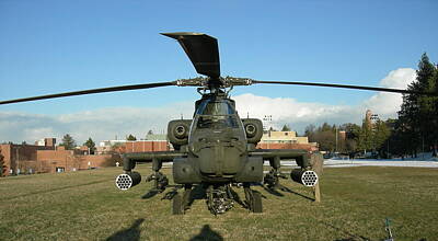 Cactus - Apache helicopter by Jean Evans