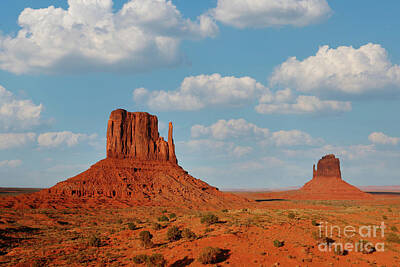 Wine Glass Royalty Free Images - Beautiful Monument Valley Landscape Showing the Famous Navajo Buttes Royalty-Free Image by Katrina Brown