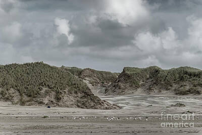 Landscapes Royalty-Free and Rights-Managed Images - Blaavand beach dunes at the North sea coast on a windy day, Denm by Frank Bach