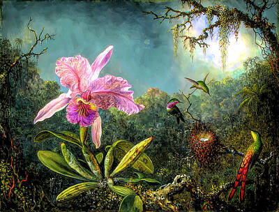Pretty In Pink - Cattleya Orchid and Three Brazilian Hummingbirds by Martin Johnson Heade