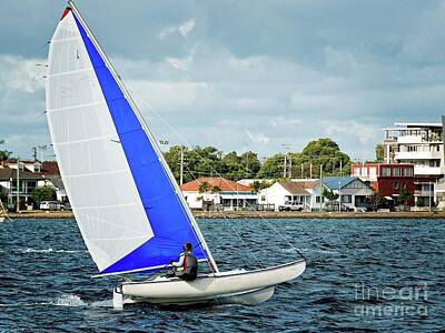 Katharine Hepburn - Combined High School Sailing Championships  by Geoff Childs
