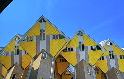 Sultry Flowers - Cube houses in Rotterdam, Netherlands by James Byard