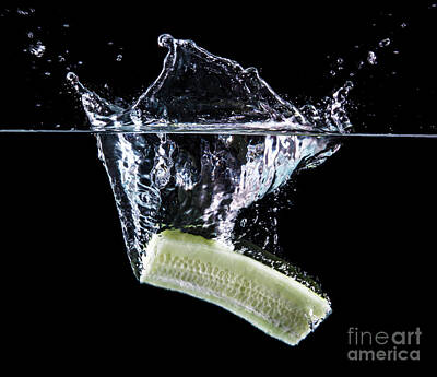 Polar Bears - Cucumber undwerwater by Nikolay Stoimenov