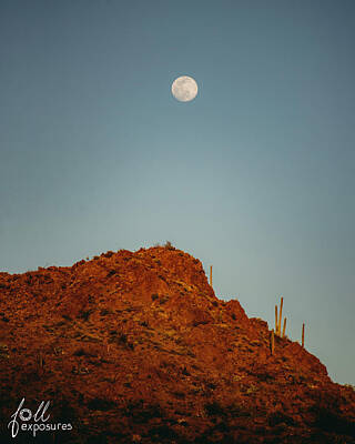 Stocktrek Images - Desert Moonrise by Logan Foll