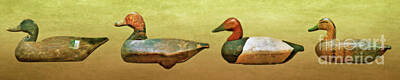 Birds Digital Art Rights Managed Images - Ducks In a Row  Royalty-Free Image by Randy Steele