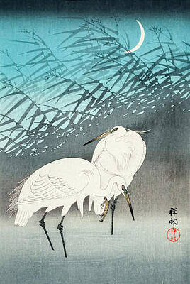 Royalty-Free and Rights-Managed Images - Egrets and Reeds in Moonlight by Ohara Koson by Mango Art