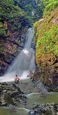 Only Orange - El Yunque Rain Forest Waterfall by David Zanzinger