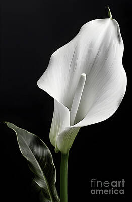 Lilies Digital Art - Elegance in monochrome by Sen Tinel