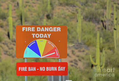 Whimsical Flowers - Extreme Fire Danger, fire ban at Lake Pleasant Regional Park, Sonoran Desert, Arizona USA by Norm Lane