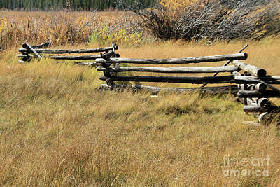 Garden Signs Rights Managed Images - Fall Fence Line Royalty-Free Image by Roland Stanke