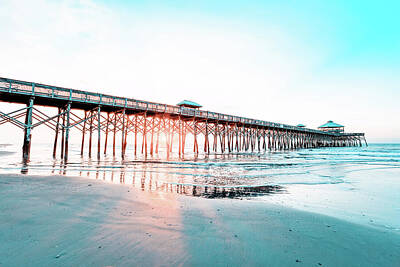 Beach Royalty Free Images - Folly Beach Pier - Wooden Guardian 5 Royalty-Free Image by Steve Rich