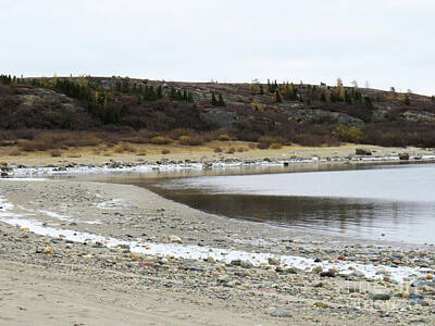 Zen Rocks - Frozen beach in Kuujjuaq with dark trees by Celine Bisson