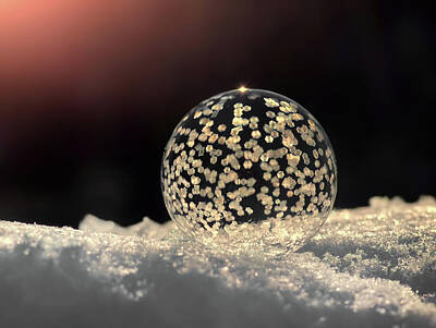 Fine Dining - Frozen bubble by Iwona Sikorska