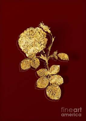 Car Design Icons - Gold White Rose of York Botanical Illustration on Red by Holy Rock Design